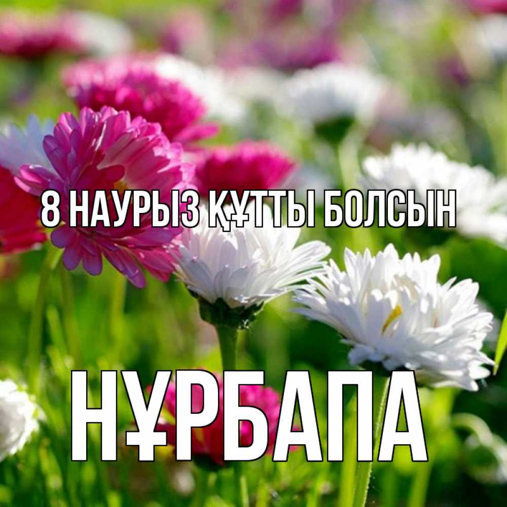 Күн сайын ашық хат с именем, НҰРБАПА 8 наурыз құтты болсын международный женский день 1 Онлайн тегін жүктеп алу тілектері бар керемет карта 