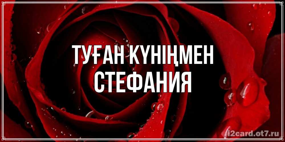 Күн сайын ашық хат с именем, Стефания Туған күніңмен крупная бордовая роза Онлайн тегін жүктеп алу тілектері бар керемет карта 