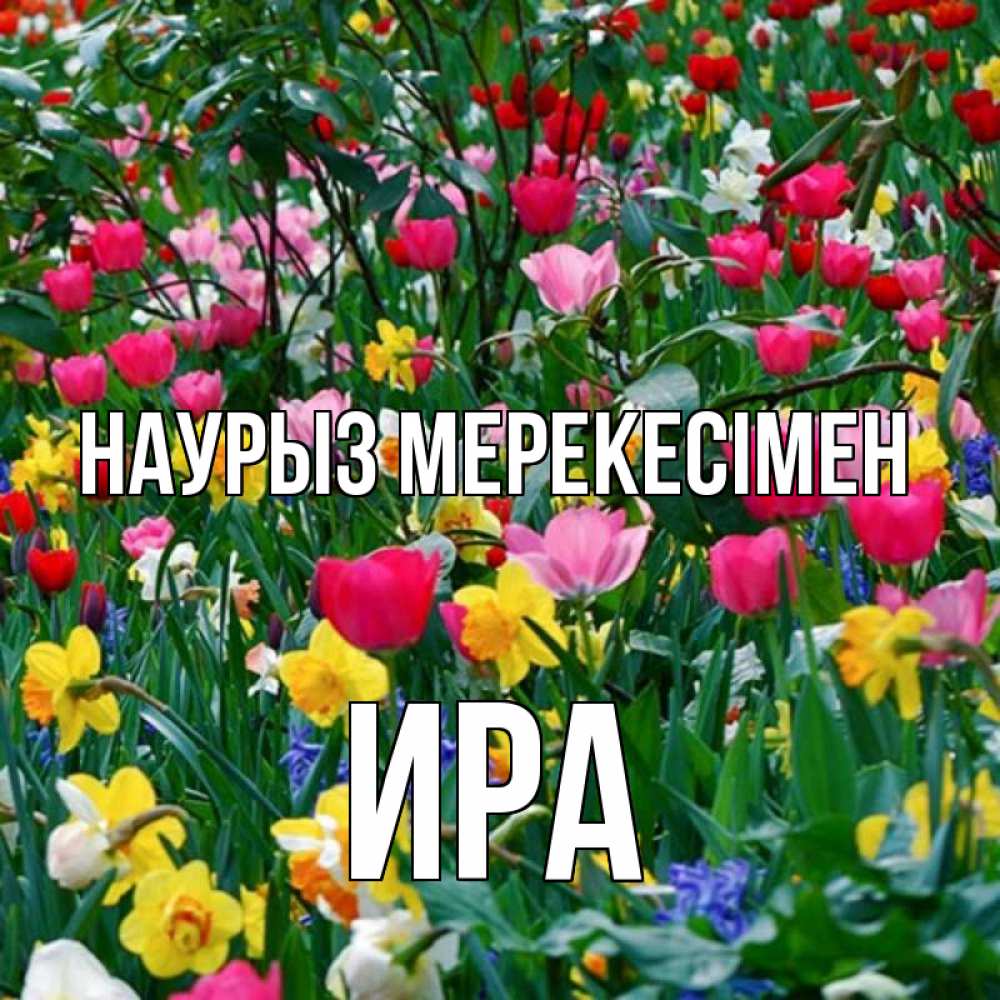 Күн сайын ашық хат с именем, Ира Наурыз мерекесімен с наурызом праздником весны поздравления для женщины Онлайн тегін жүктеп алу тілектері бар керемет карта 