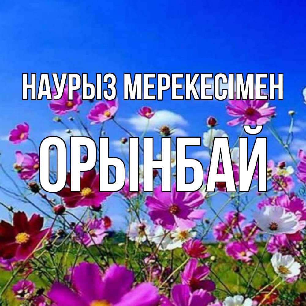 Күн сайын ашық хат с именем, ОРЫНБАЙ Наурыз мерекесімен цветы Онлайн тегін жүктеп алу тілектері бар керемет карта 