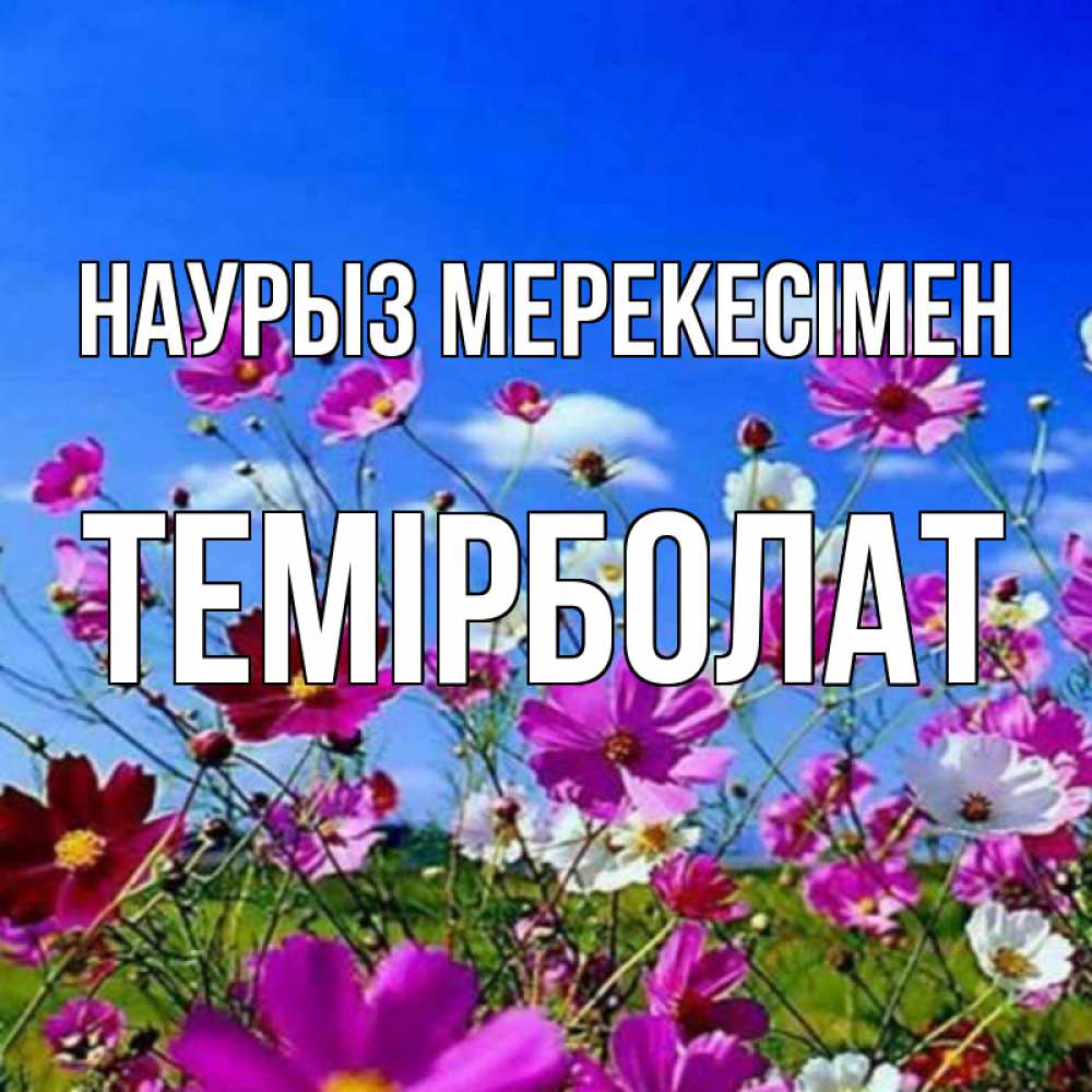 Күн сайын ашық хат с именем, ТЕМІРБОЛАТ Наурыз мерекесімен цветы Онлайн тегін жүктеп алу тілектері бар керемет карта 