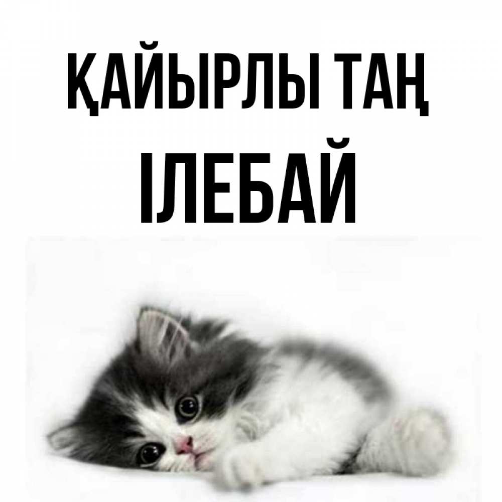 Күн сайын ашық хат с именем, Ілебай Қайырлы таң кот лапки Онлайн тегін жүктеп алу тілектері бар керемет карта 