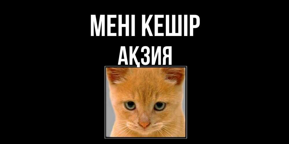 Күн сайын ашық хат с именем, Ақзия Мені кешір рыжий грустный кот просит прощения Онлайн тегін жүктеп алу тілектері бар керемет карта 