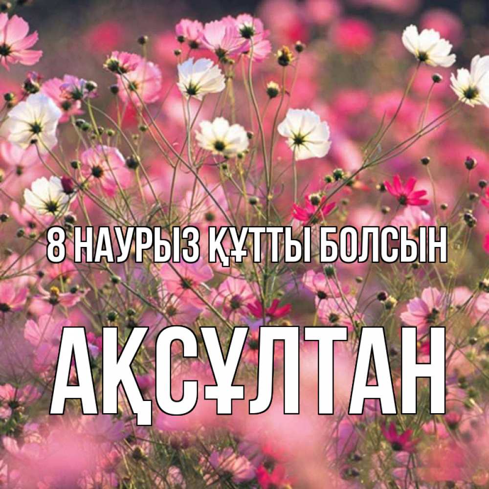 Күн сайын ашық хат с именем, Ақсұлтан 8 наурыз құтты болсын красиво 1 Онлайн тегін жүктеп алу тілектері бар керемет карта 