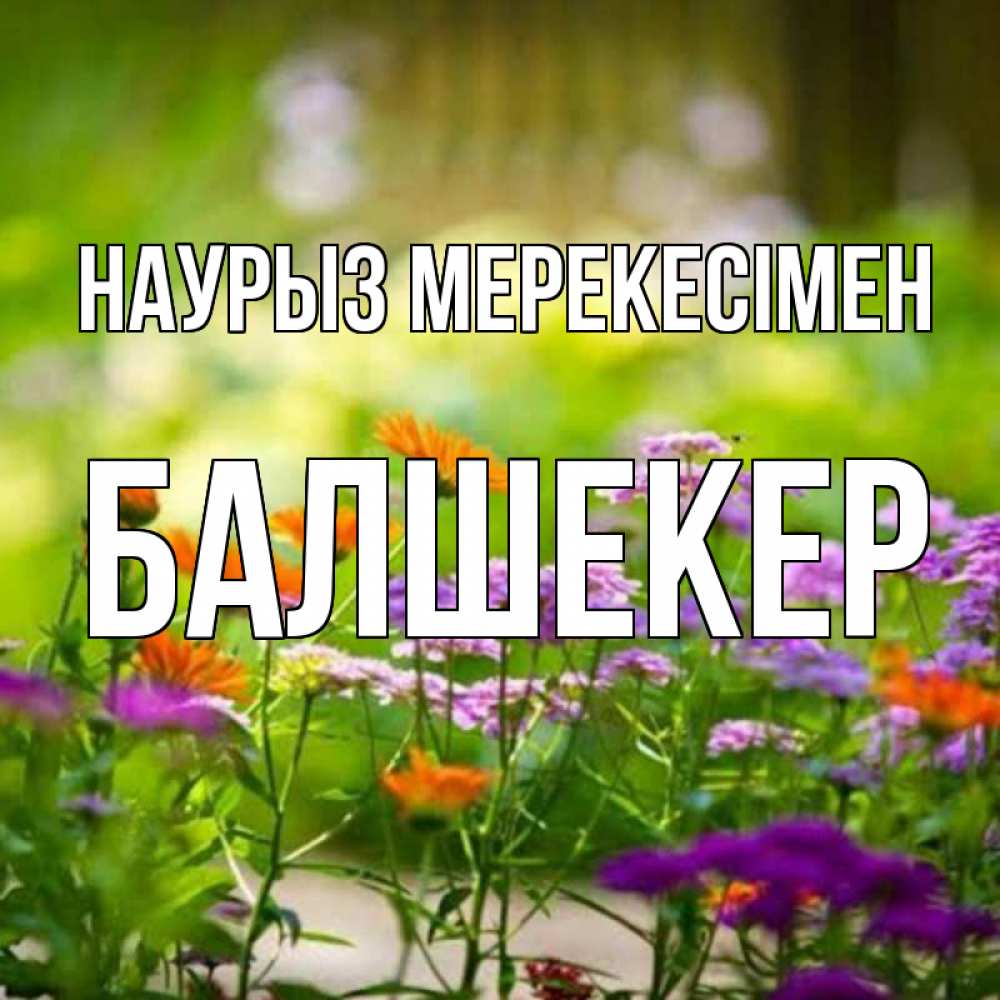 Күн сайын ашық хат с именем, БАЛШЕКЕР Наурыз мерекесімен цветы Онлайн тегін жүктеп алу тілектері бар керемет карта 
