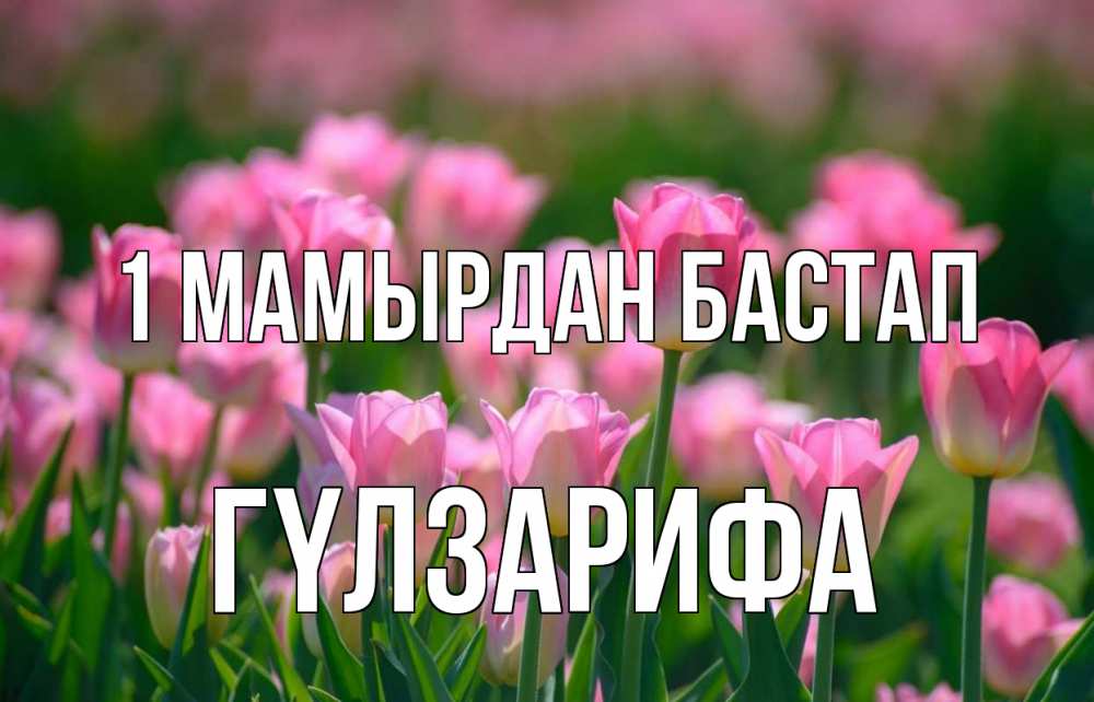 Күн сайын ашық хат с именем, ГҮЛЗАРИФА 1 мамырдан бастап С 1 мая Онлайн тегін жүктеп алу тілектері бар керемет карта 