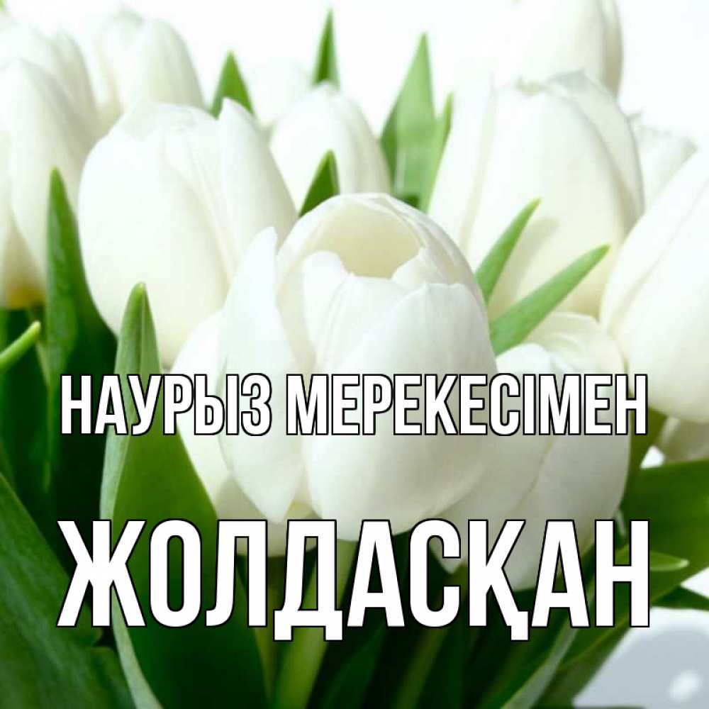 Күн сайын ашық хат с именем, Жолдасқан Наурыз мерекесімен цветы Онлайн тегін жүктеп алу тілектері бар керемет карта 