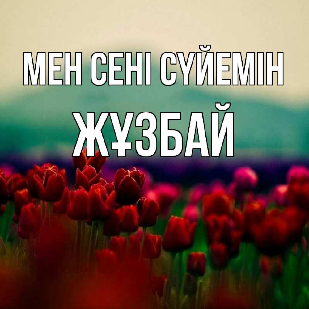 Күн сайын ашық хат с именем, Жұзбай Мен сені сүйемін тюльпаны 4 Онлайн тегін жүктеп алу тілектері бар керемет карта 