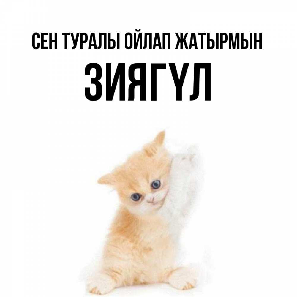 Күн сайын ашық хат с именем, ЗИЯГҮЛ Сен туралы ойлап жатырмын зверушки и милота Онлайн тегін жүктеп алу тілектері бар керемет карта 