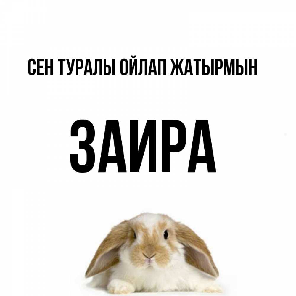 Күн сайын ашық хат с именем, Заира Сен туралы ойлап жатырмын подписать своими руками онлайн Онлайн тегін жүктеп алу тілектері бар керемет карта 