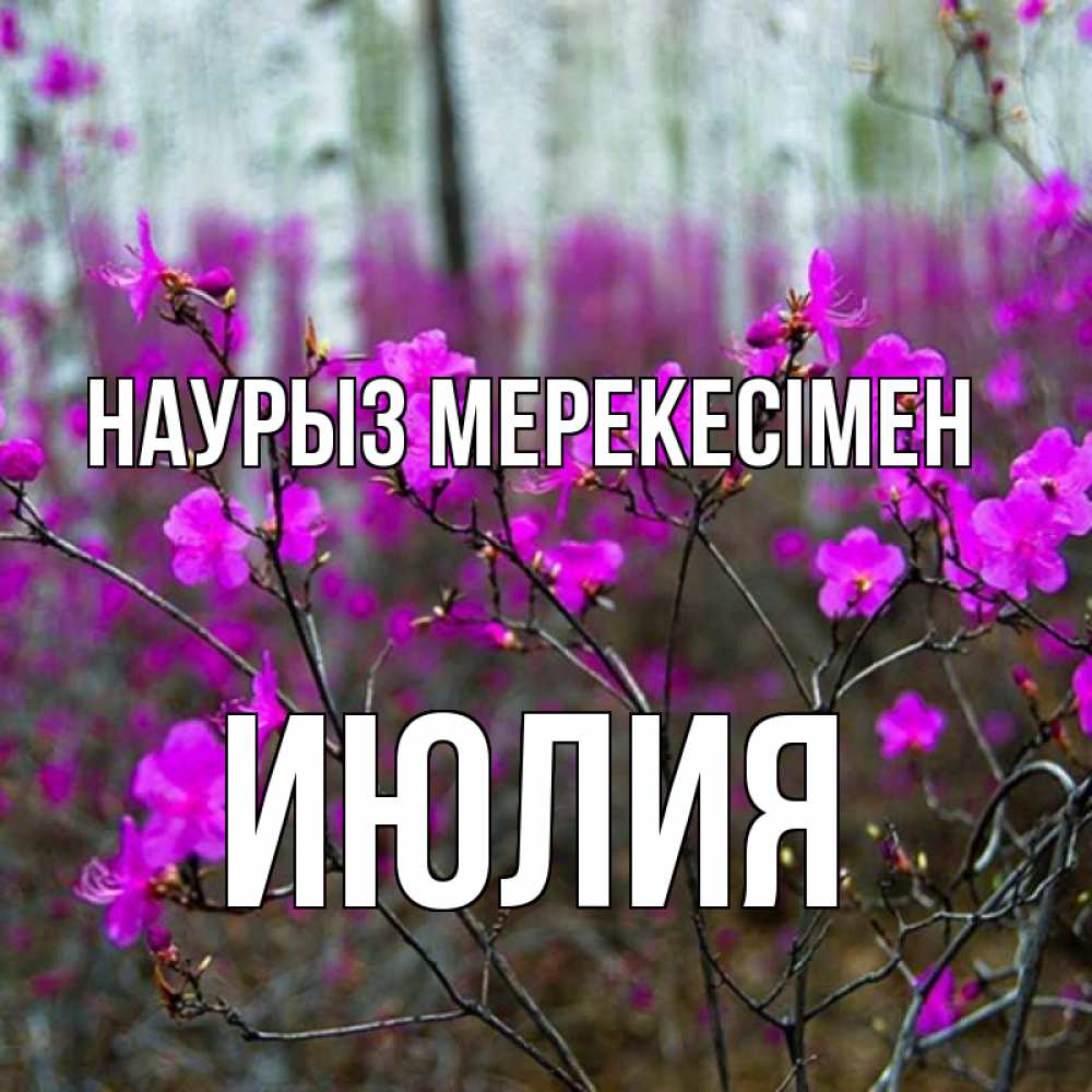 Күн сайын ашық хат с именем, Июлия Наурыз мерекесімен дикие цветы Онлайн тегін жүктеп алу тілектері бар керемет карта 