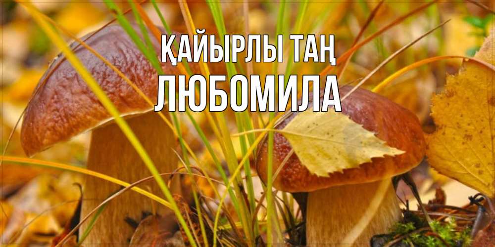 Күн сайын ашық хат с именем, Любомила Қайырлы таң осенние грибы Онлайн тегін жүктеп алу тілектері бар керемет карта 