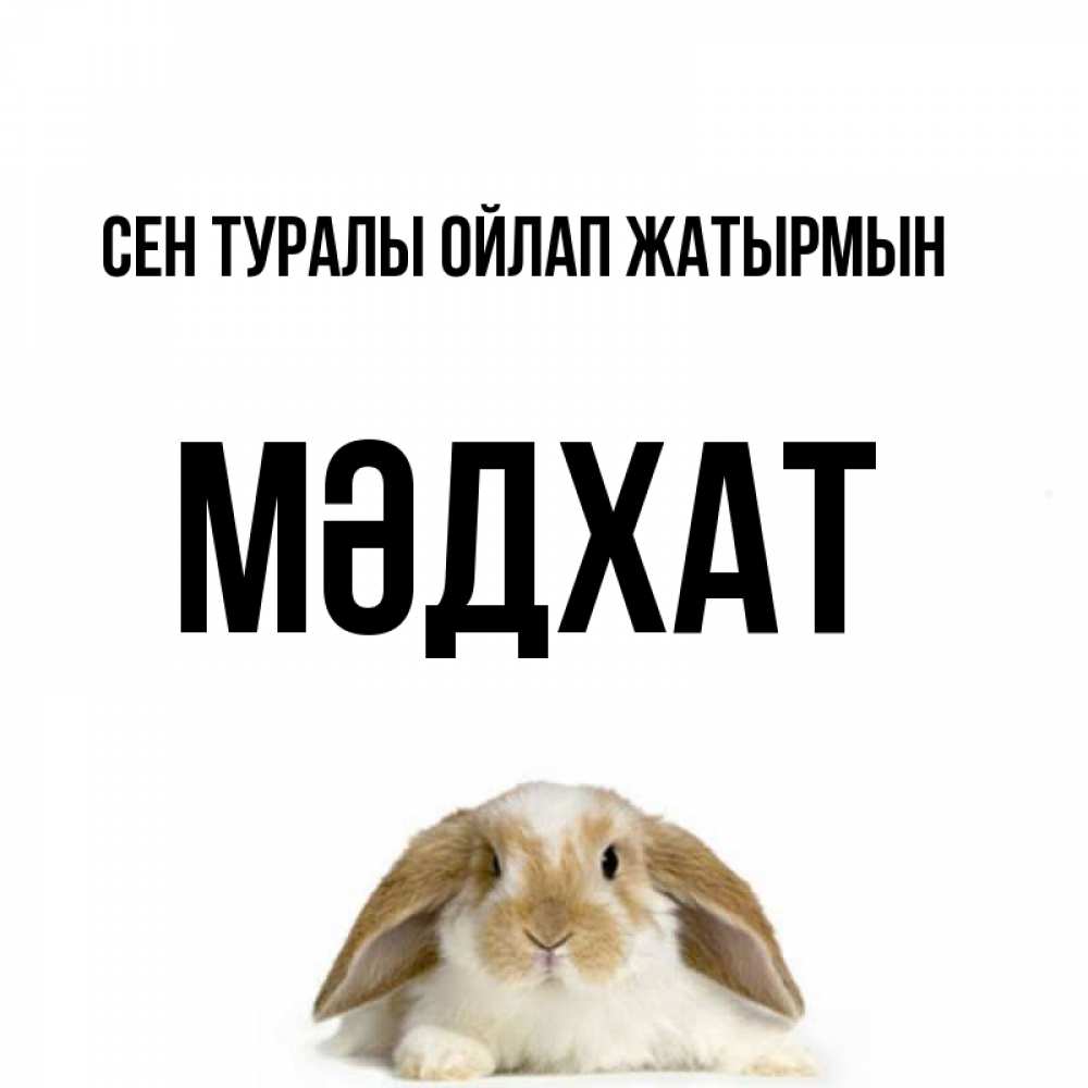 Күн сайын ашық хат с именем, МӘДХАТ Сен туралы ойлап жатырмын подписать своими руками онлайн Онлайн тегін жүктеп алу тілектері бар керемет карта 