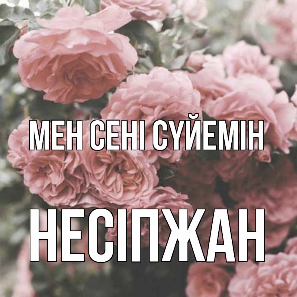 Күн сайын ашық хат с именем, НЕСІПЖАН Мен сені сүйемін розы 3 Онлайн тегін жүктеп алу тілектері бар керемет карта 