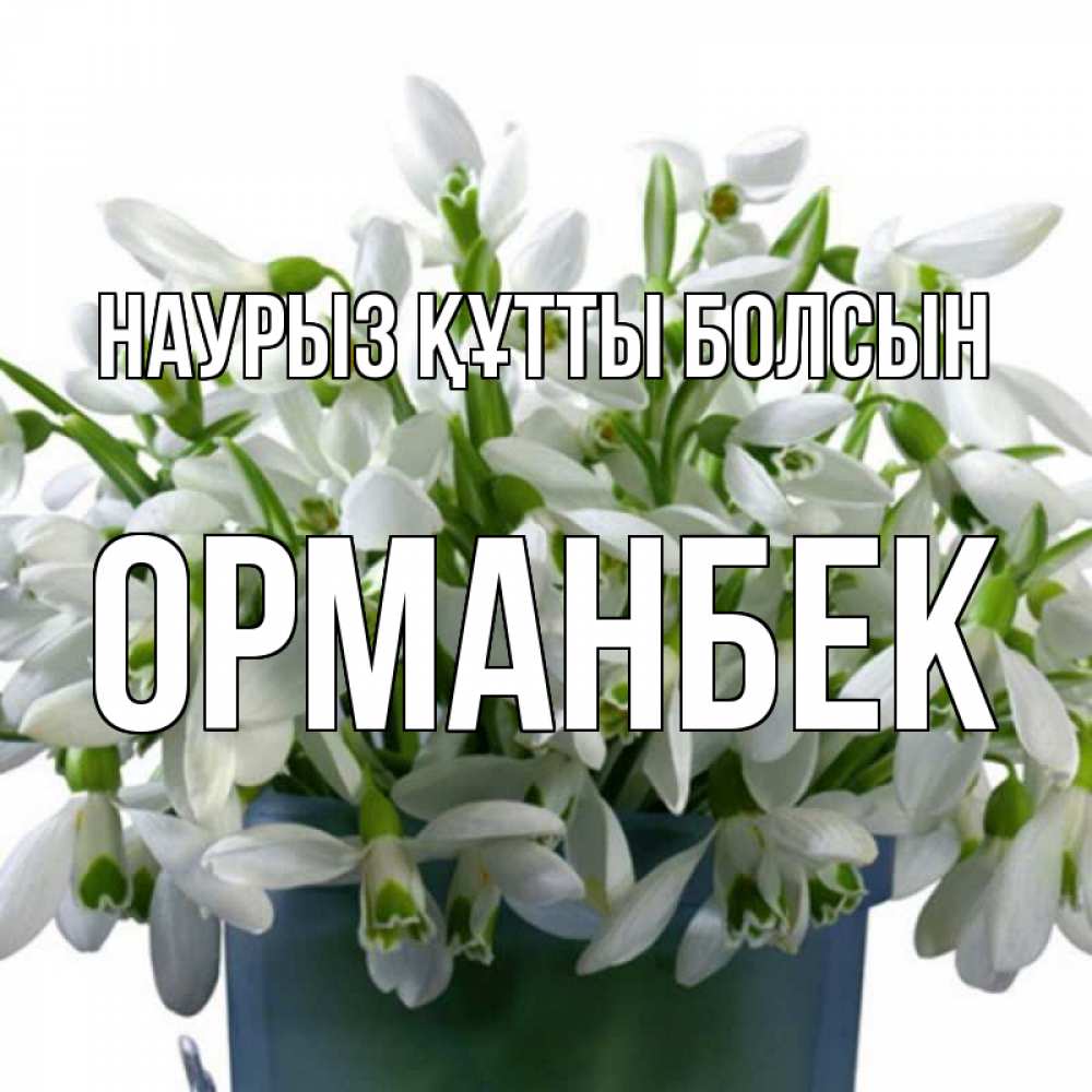 Күн сайын ашық хат с именем, ОРМАНБЕК Наурыз құтты болсын цветы к наурызу Онлайн тегін жүктеп алу тілектері бар керемет карта 