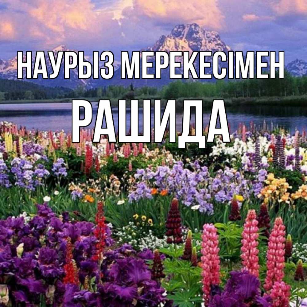 Күн сайын ашық хат с именем, РАШИДА Наурыз мерекесімен праздник весны наурыз Онлайн тегін жүктеп алу тілектері бар керемет карта 