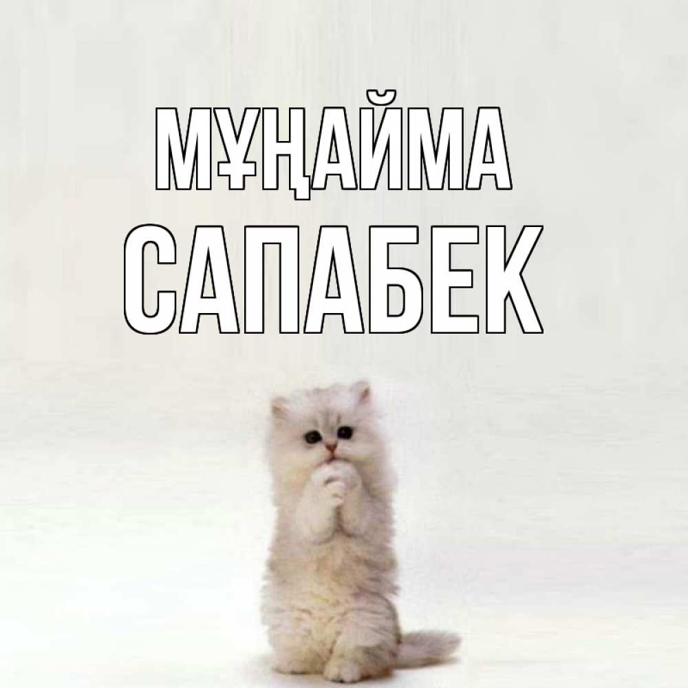 Күн сайын ашық хат с именем, САПАБЕК Мұңайма грустный кот Онлайн тегін жүктеп алу тілектері бар керемет карта 