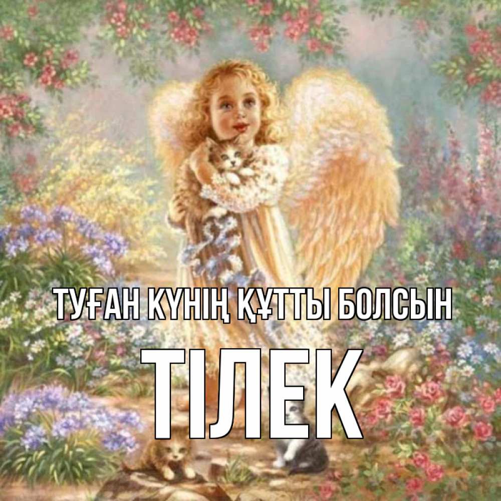 Күн сайын ашық хат с именем, ТІЛЕК Туған күнің құтты болсын держит котенка Онлайн тегін жүктеп алу тілектері бар керемет карта 