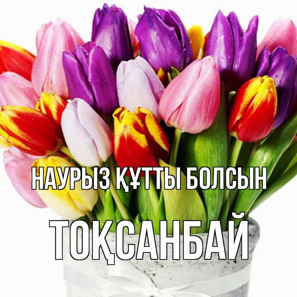 Күн сайын ашық хат с именем, ТОҚСАНБАЙ Наурыз құтты болсын букет Онлайн тегін жүктеп алу тілектері бар керемет карта 