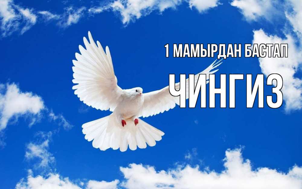 Күн сайын ашық хат с именем, Чингиз 1 мамырдан бастап С 1 мая 1 Онлайн тегін жүктеп алу тілектері бар керемет карта 
