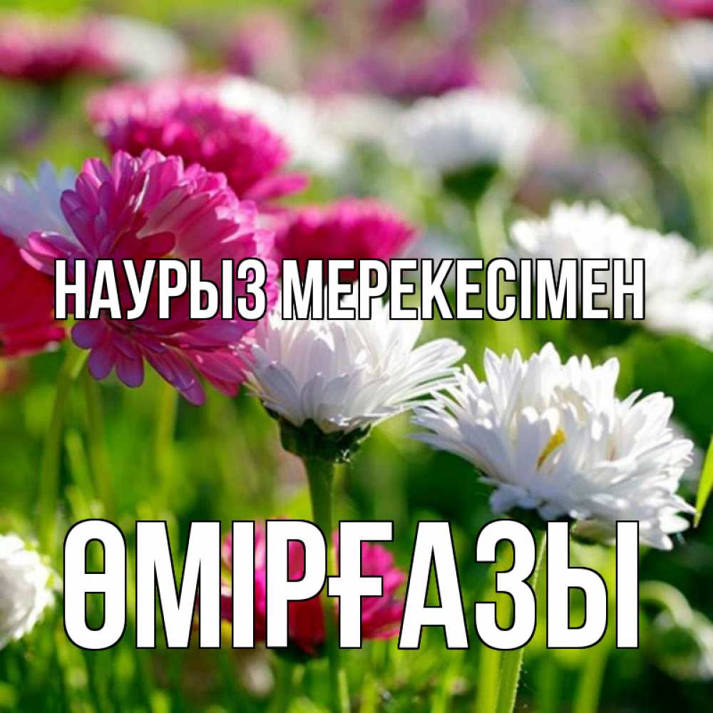 Күн сайын ашық хат с именем, ӨМІРҒАЗЫ Наурыз мерекесімен праздник весны наурыз красота Онлайн тегін жүктеп алу тілектері бар керемет карта 