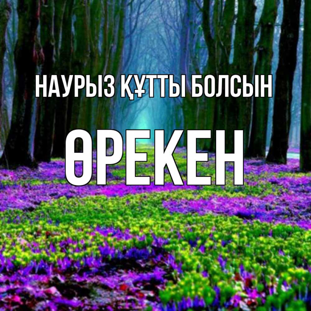 Күн сайын ашық хат с именем, ӨРЕКЕН Наурыз құтты болсын фиолетовые цветы в лесу 1 Онлайн тегін жүктеп алу тілектері бар керемет карта 