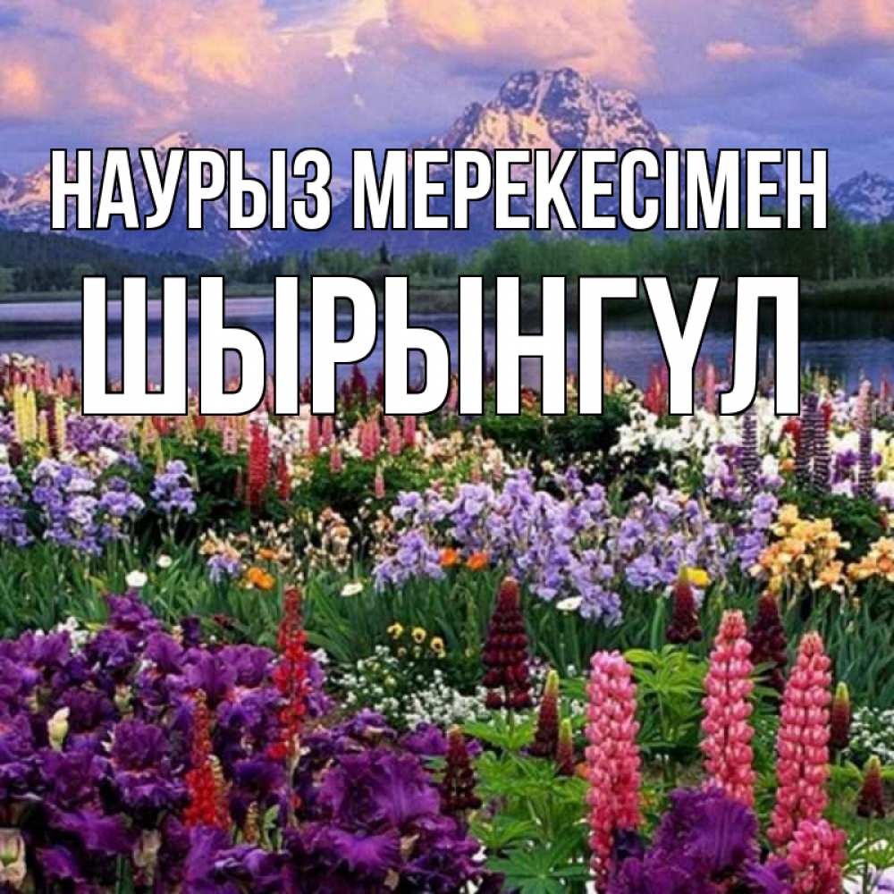 Күн сайын ашық хат с именем, ШЫРЫНГҮЛ Наурыз мерекесімен праздник весны наурыз Онлайн тегін жүктеп алу тілектері бар керемет карта 