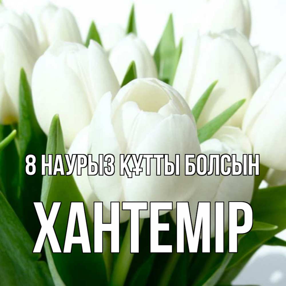 Күн сайын ашық хат с именем, ХАНТЕМІР 8 наурыз құтты болсын цветы Онлайн тегін жүктеп алу тілектері бар керемет карта 