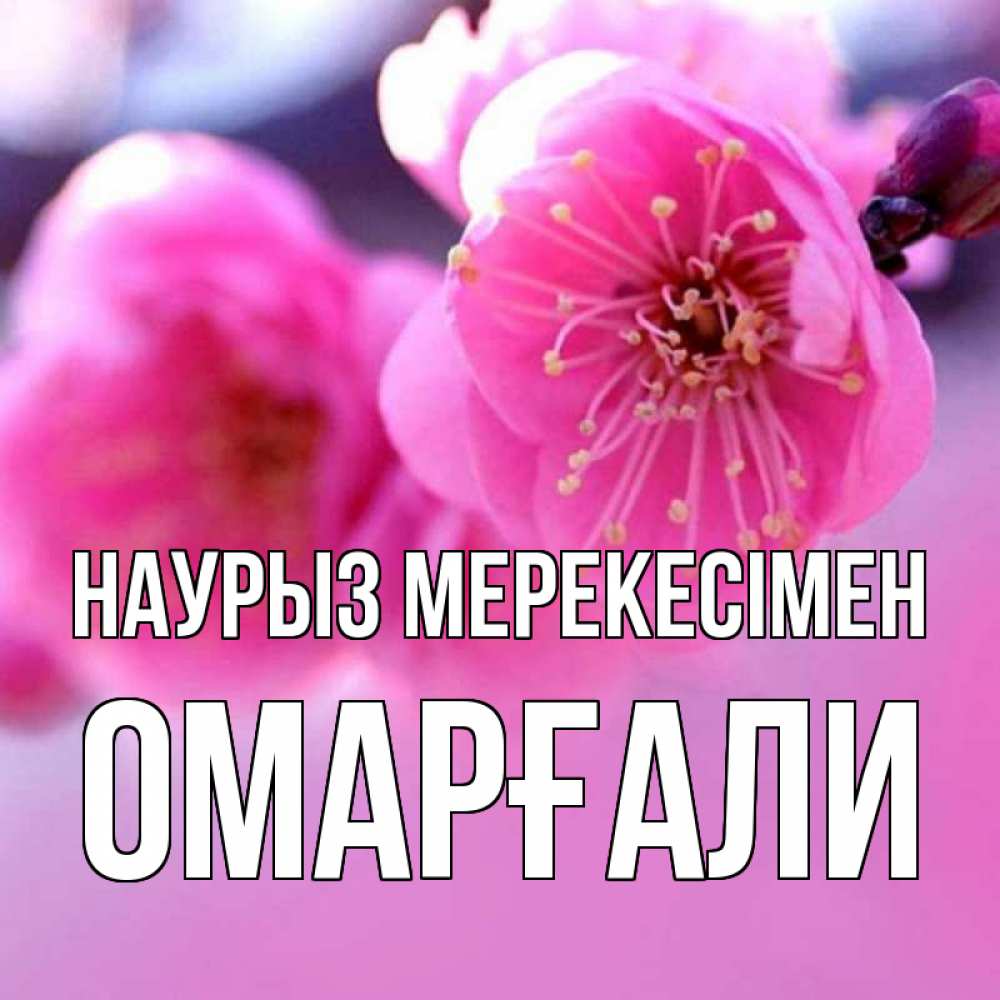 Күн сайын ашық хат с именем, ОМАРҒАЛИ Наурыз мерекесімен международный женский день Онлайн тегін жүктеп алу тілектері бар керемет карта 