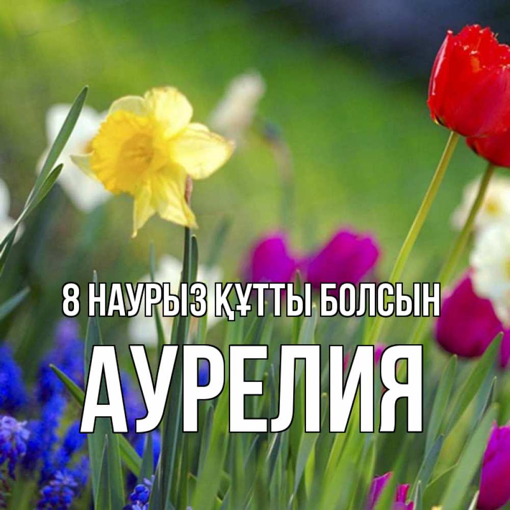 Күн сайын ашық хат с именем, Аурелия 8 наурыз құтты болсын международный женский день 3 Онлайн тегін жүктеп алу тілектері бар керемет карта 
