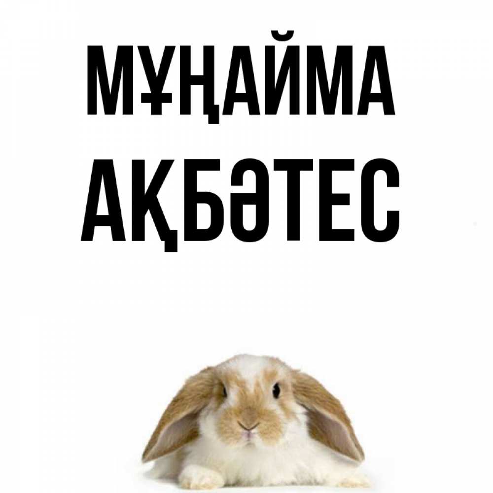 Күн сайын ашық хат с именем, АҚБӘТЕС Мұңайма коричнево белый заяц с большими ушками Онлайн тегін жүктеп алу тілектері бар керемет карта 