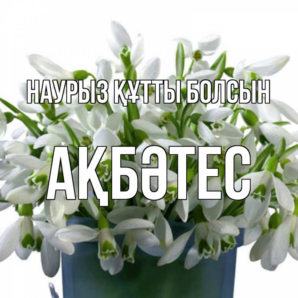 Күн сайын ашық хат с именем, АҚБӘТЕС Наурыз құтты болсын цветы к наурызу Онлайн тегін жүктеп алу тілектері бар керемет карта 
