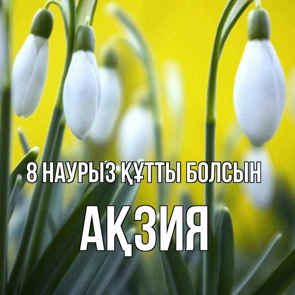 Күн сайын ашық хат с именем, Ақзия 8 наурыз құтты болсын весенние цветы Онлайн тегін жүктеп алу тілектері бар керемет карта 