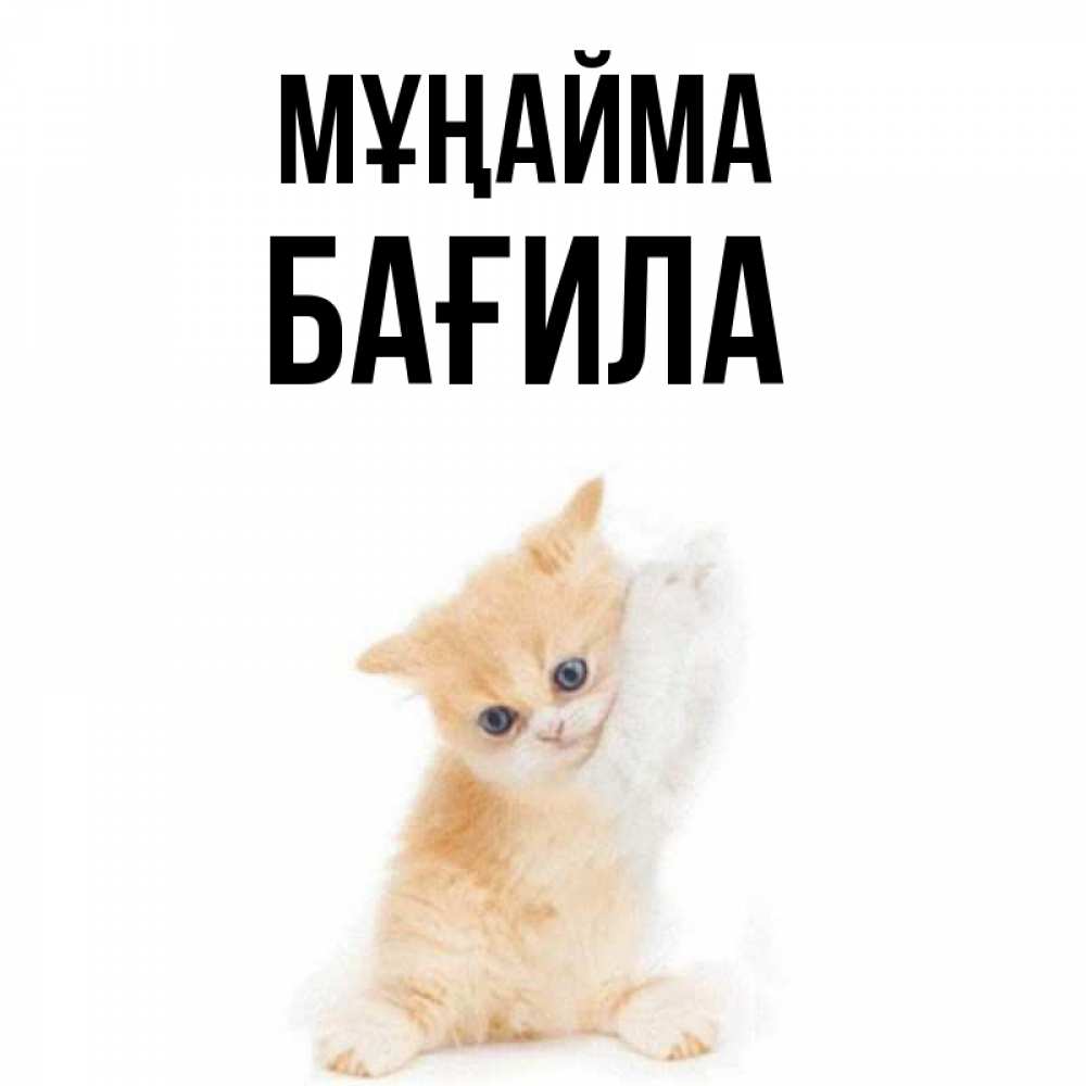 Күн сайын ашық хат с именем, БАҒИЛА Мұңайма просящий кот Онлайн тегін жүктеп алу тілектері бар керемет карта 