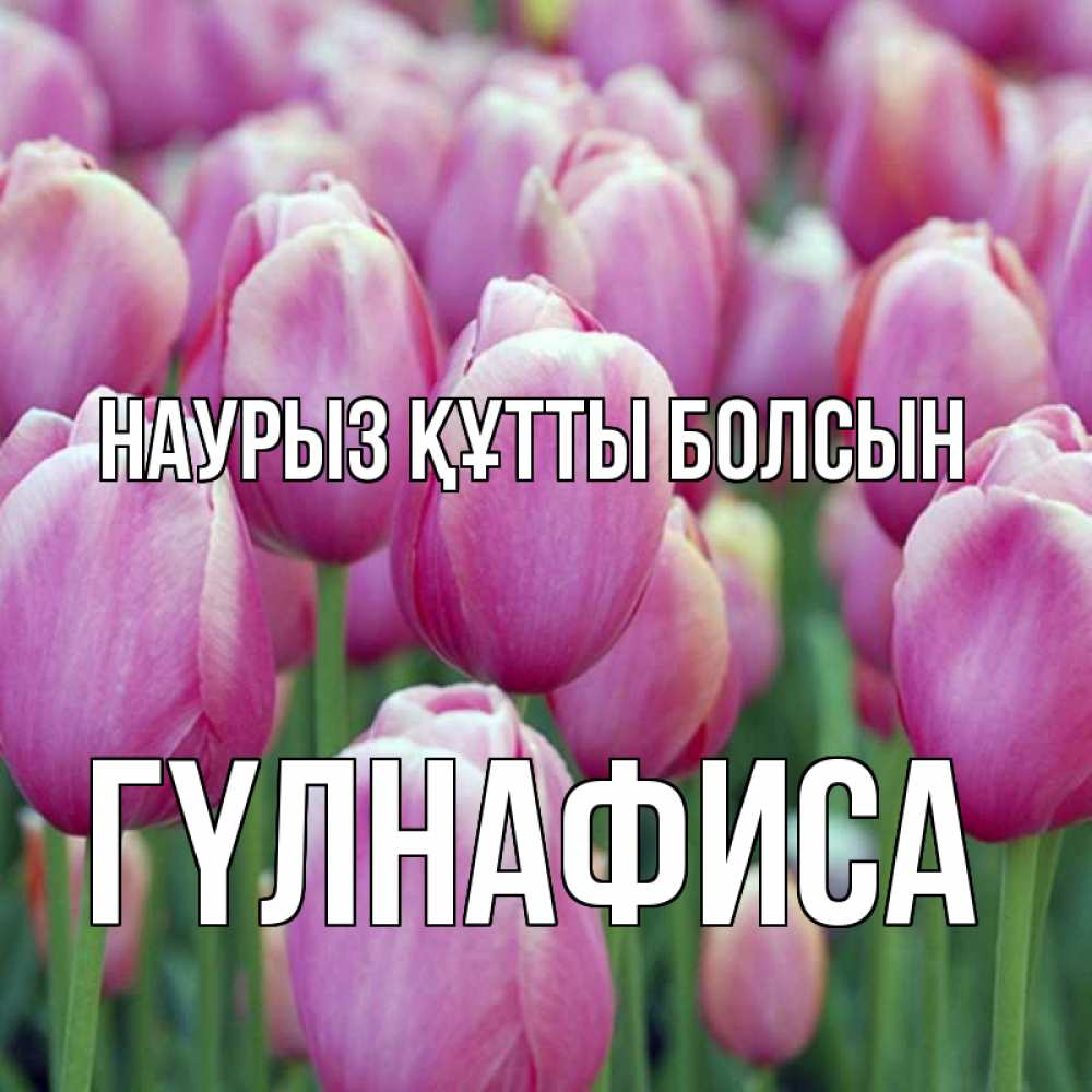 Күн сайын ашық хат с именем, ГҮЛНАФИСА Наурыз құтты болсын на наурыз  день 3 Онлайн тегін жүктеп алу тілектері бар керемет карта 