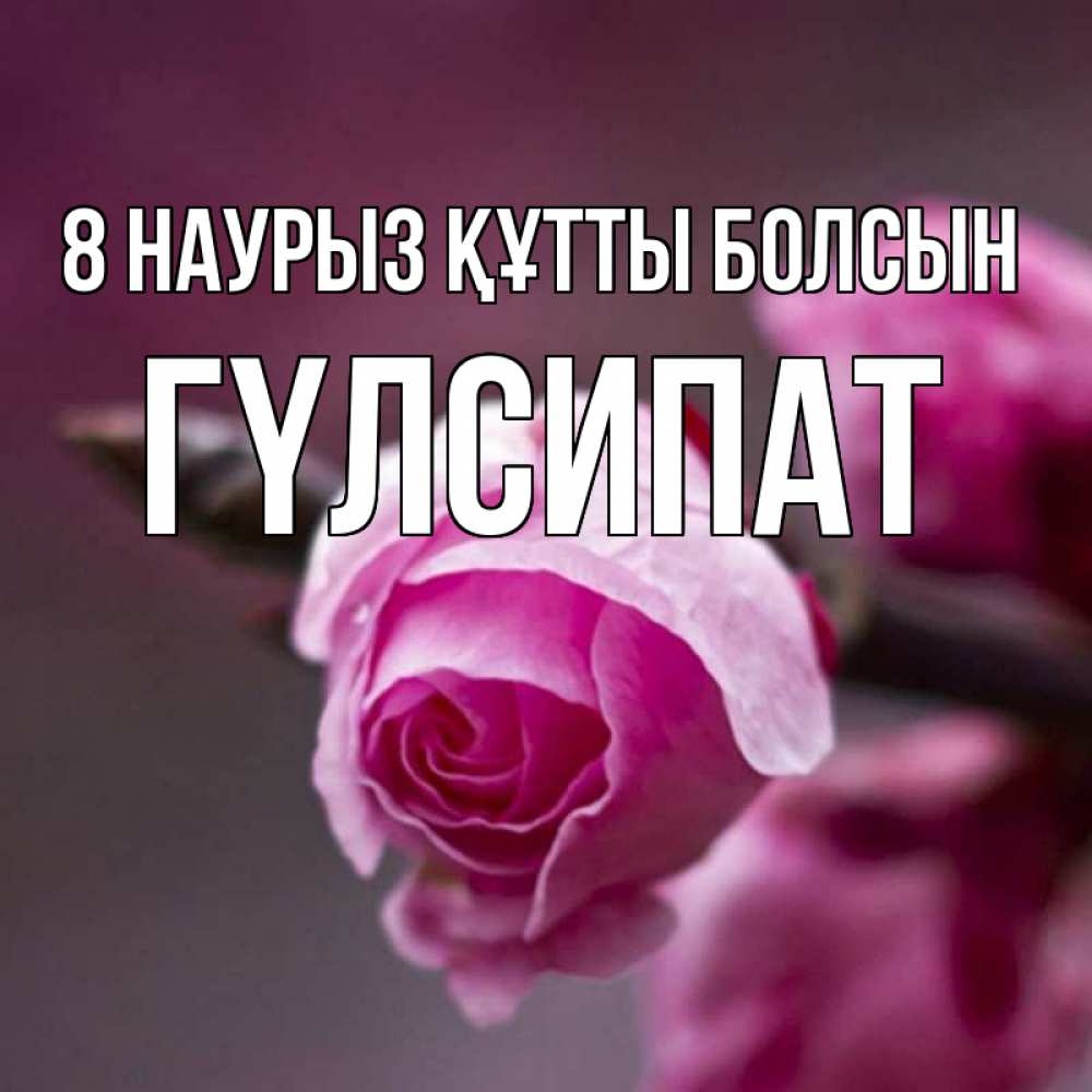 Күн сайын ашық хат с именем, ГҮЛСИПАТ 8 наурыз құтты болсын весна Онлайн тегін жүктеп алу тілектері бар керемет карта 