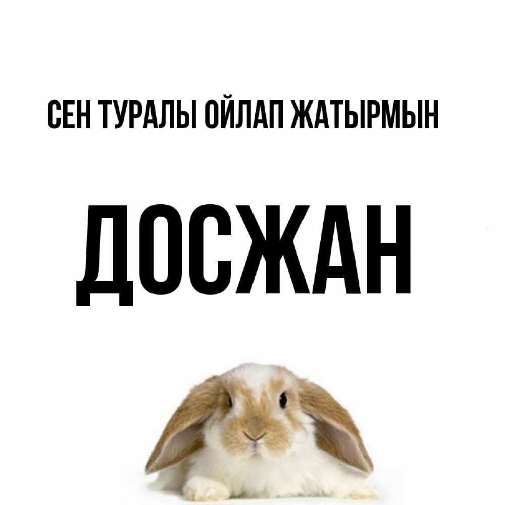 Күн сайын ашық хат с именем, Досжан Сен туралы ойлап жатырмын подписать своими руками онлайн Онлайн тегін жүктеп алу тілектері бар керемет карта 