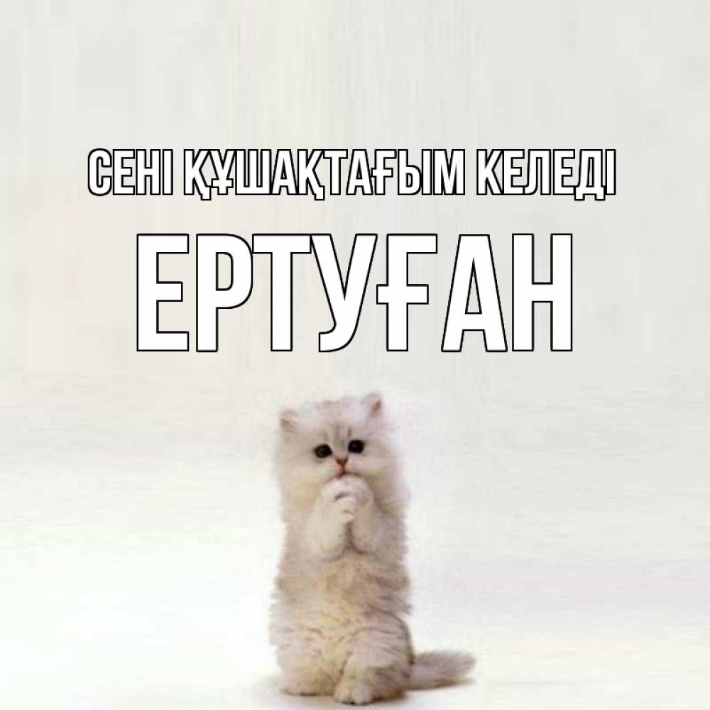 Күн сайын ашық хат с именем, Ертуған сені құшақтағым келеді открытки с креативными подписями Онлайн тегін жүктеп алу тілектері бар керемет карта 