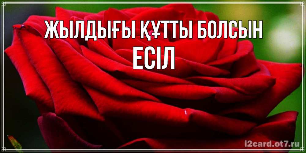 Күн сайын ашық хат с именем, Есіл Жылдығы құтты болсын розочка очень красивая Онлайн тегін жүктеп алу тілектері бар керемет карта 