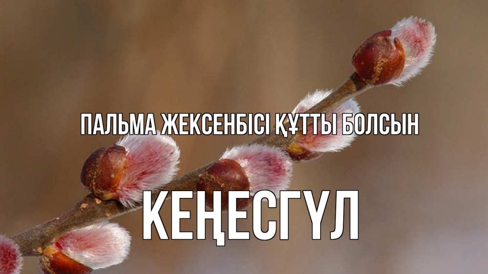 Күн сайын ашық хат с именем, КЕҢЕСГҮЛ Пальма жексенбісі құтты болсын верба Онлайн тегін жүктеп алу тілектері бар керемет карта 