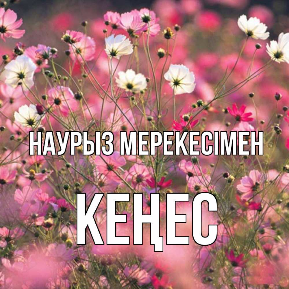 Күн сайын ашық хат с именем, Кеңес Наурыз мерекесімен красиво 1 Онлайн тегін жүктеп алу тілектері бар керемет карта 