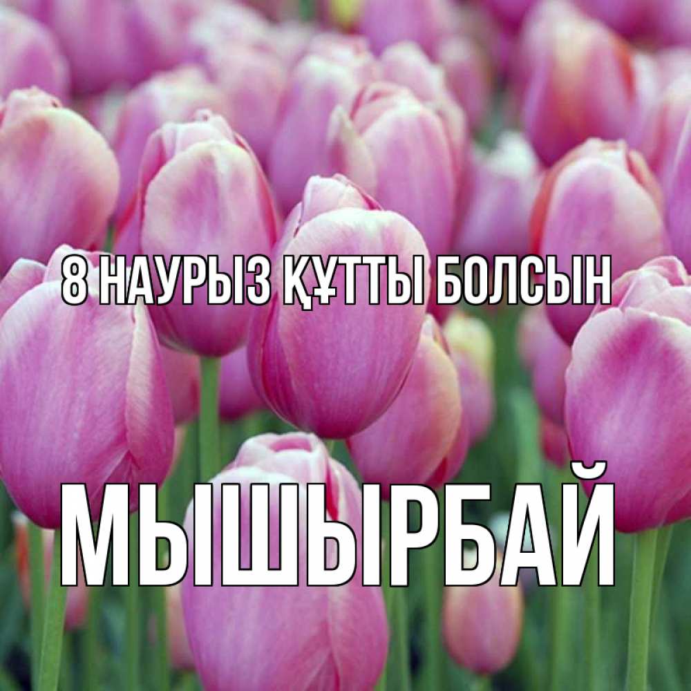 Күн сайын ашық хат с именем, МЫШЫРБАЙ 8 наурыз құтты болсын на международный женский день 3 Онлайн тегін жүктеп алу тілектері бар керемет карта 