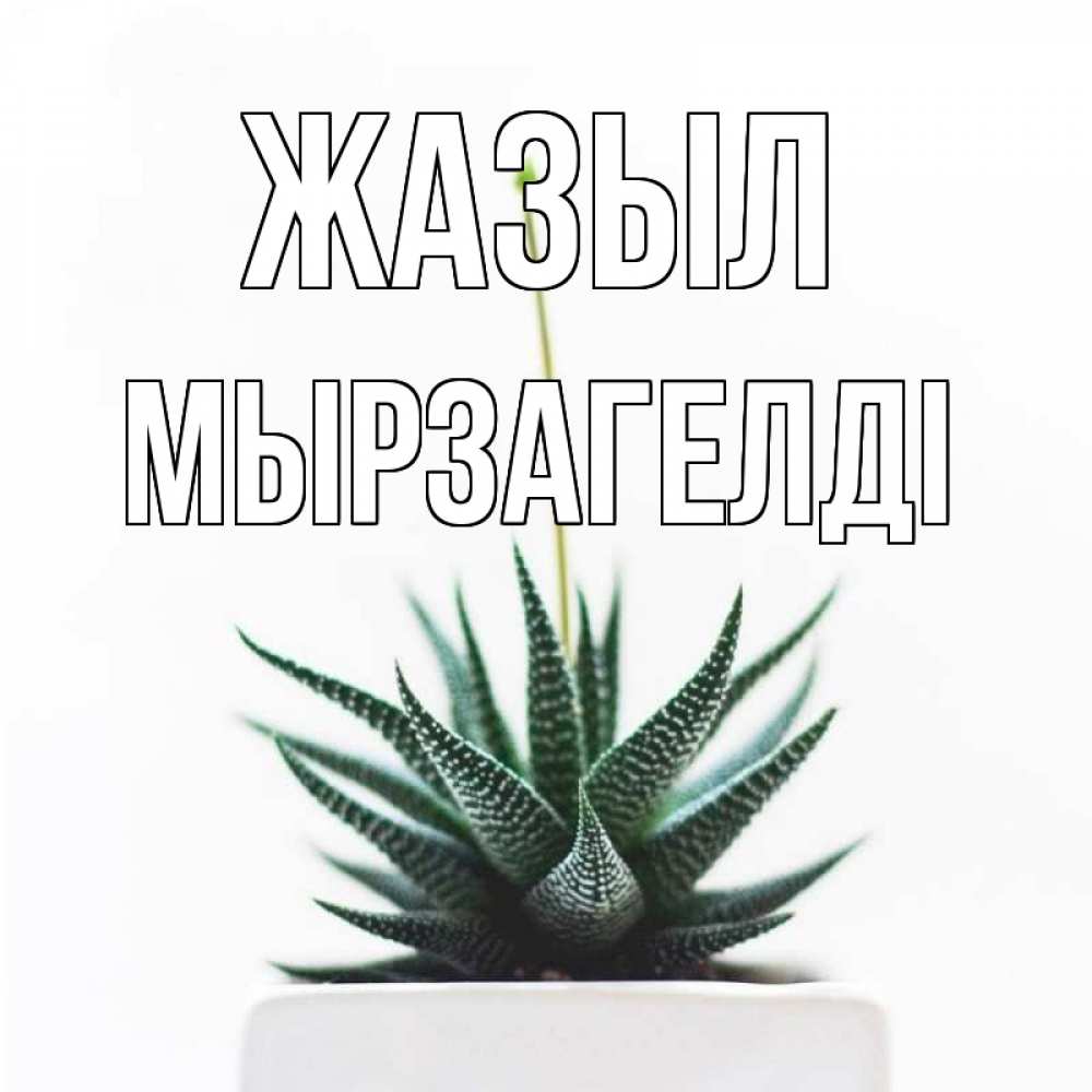 Күн сайын ашық хат с именем, Мырзагелді Жазыл короче это непонятная колючка Онлайн тегін жүктеп алу тілектері бар керемет карта 