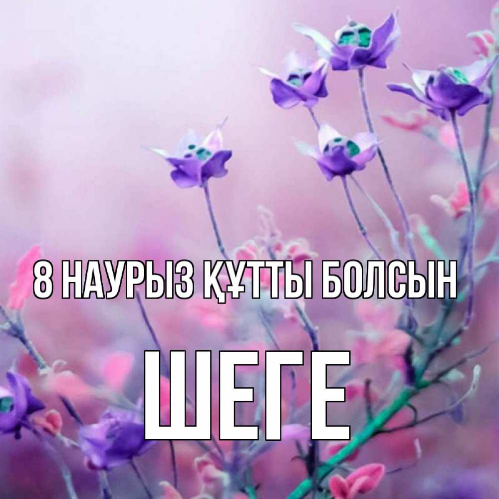 Күн сайын ашық хат с именем, ШЕГЕ 8 наурыз құтты болсын международный женский день 2 Онлайн тегін жүктеп алу тілектері бар керемет карта 