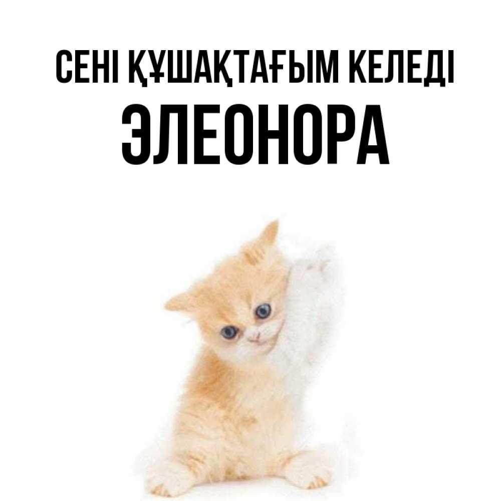 Күн сайын ашық хат с именем, Элеонора сені құшақтағым келеді я хочу очень скорее обнимаешек Онлайн тегін жүктеп алу тілектері бар керемет карта 