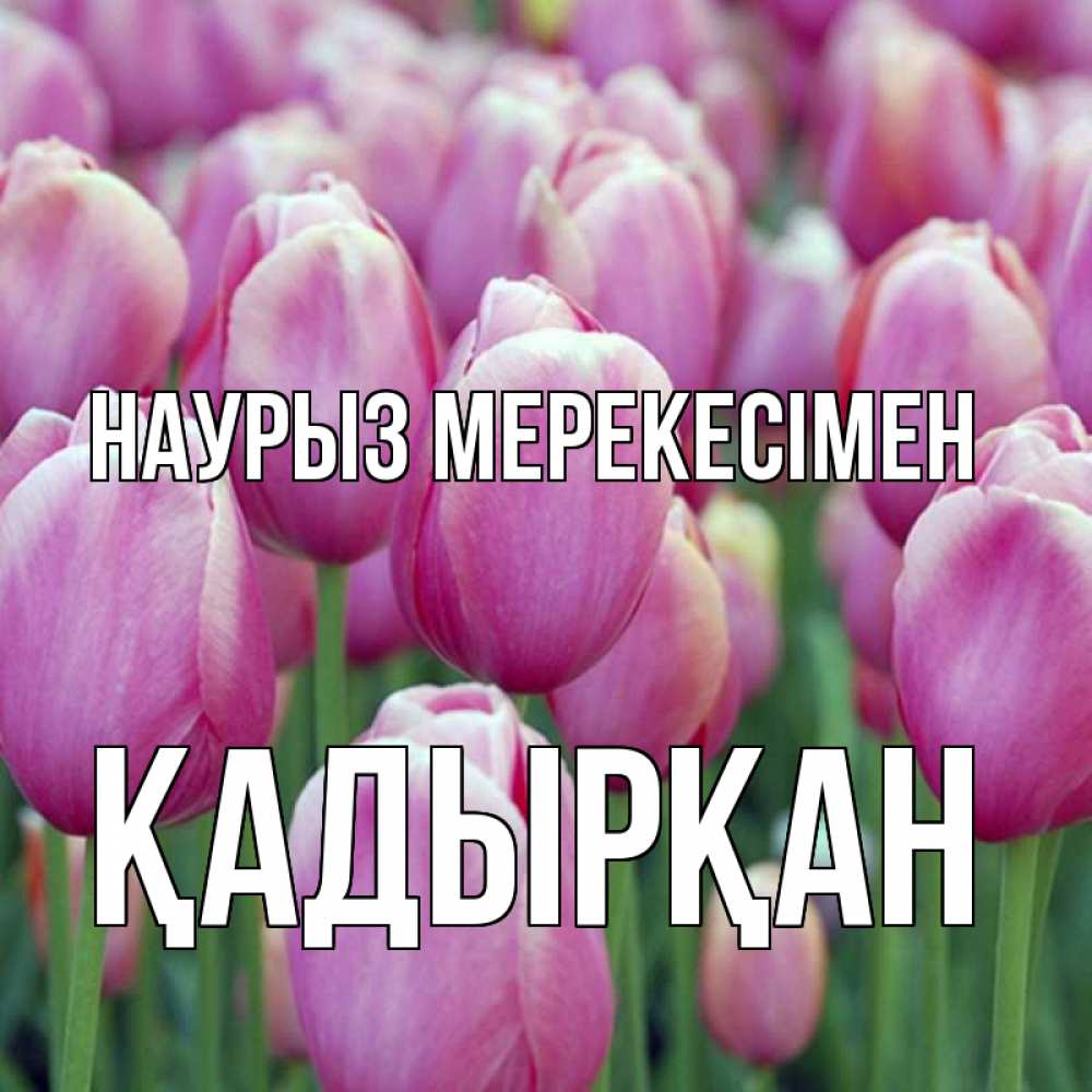 Күн сайын ашық хат с именем, Қадырқан Наурыз мерекесімен праздник весны наурыз 69 Онлайн тегін жүктеп алу тілектері бар керемет карта 