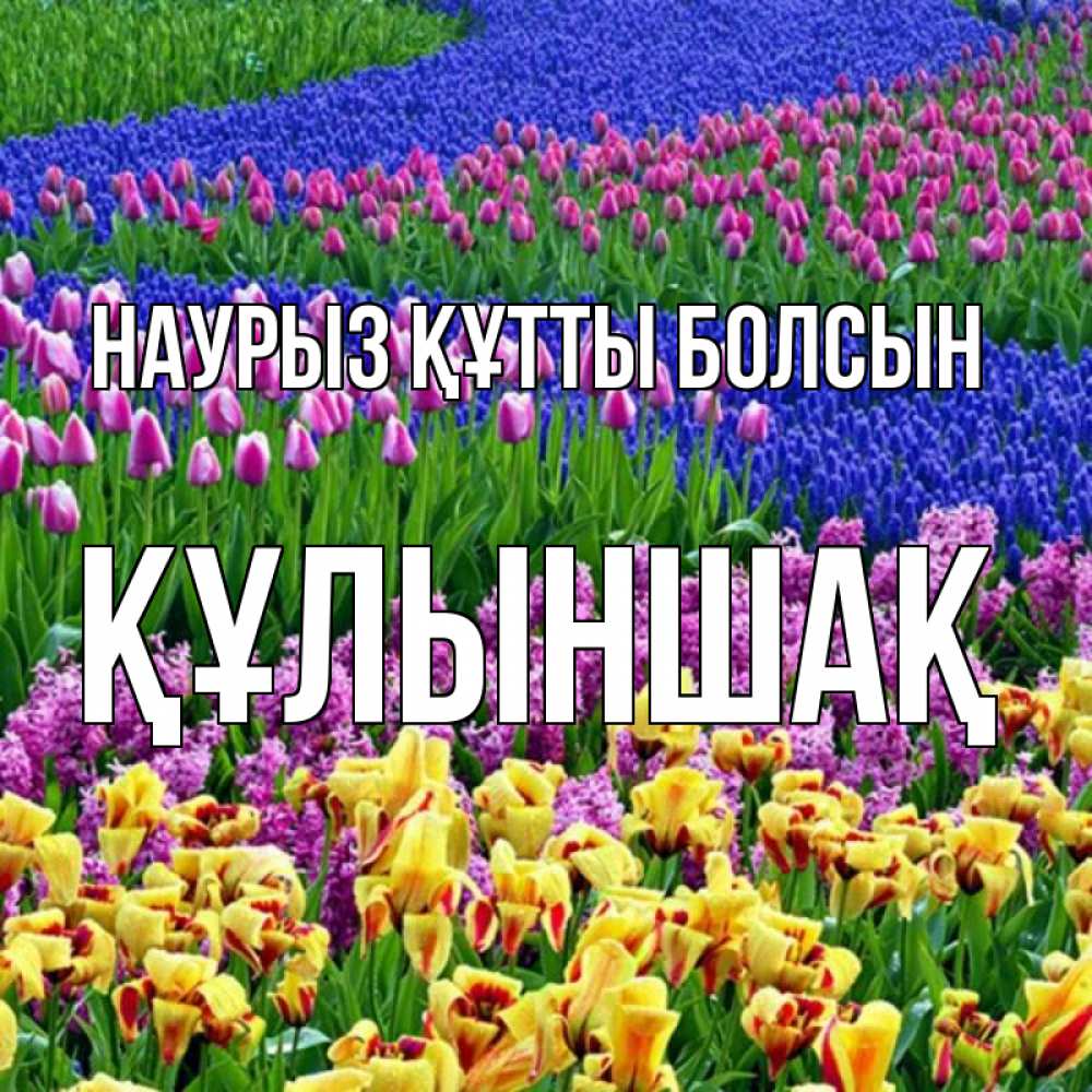 Күн сайын ашық хат с именем, ҚҰЛЫНШАҚ Наурыз құтты болсын цветы Онлайн тегін жүктеп алу тілектері бар керемет карта 
