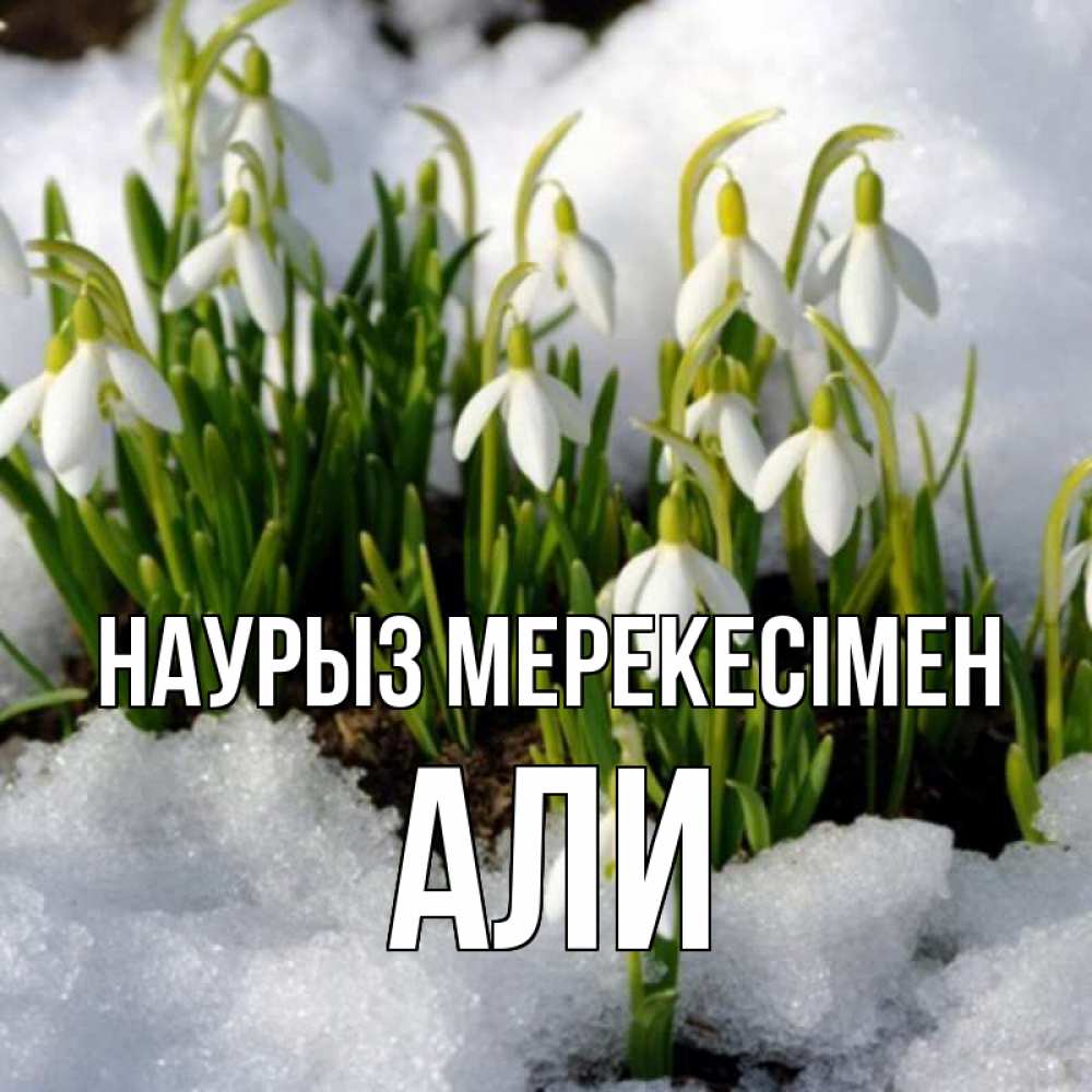 Күн сайын ашық хат с именем, Али Наурыз мерекесімен цветы весенние Онлайн тегін жүктеп алу тілектері бар керемет карта 