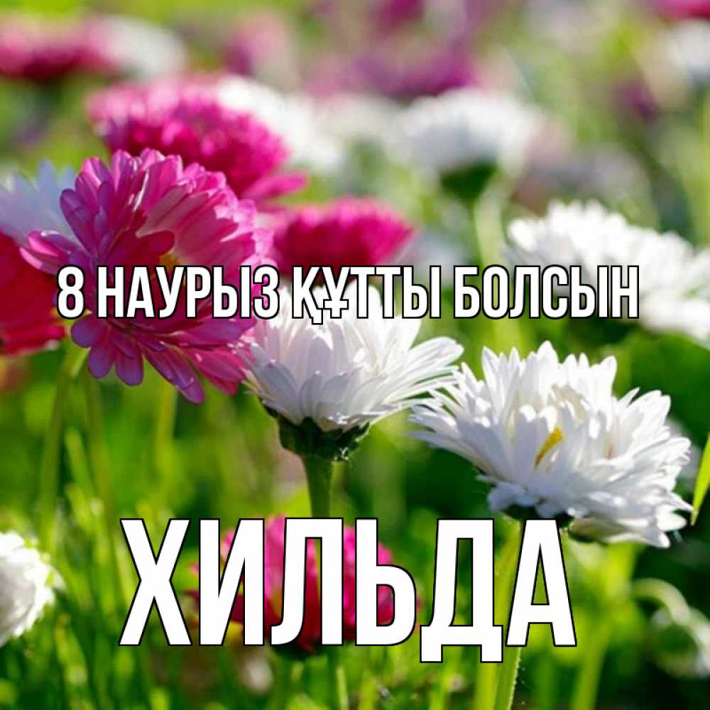 Күн сайын ашық хат с именем, Хильда 8 наурыз құтты болсын международный женский день 1 Онлайн тегін жүктеп алу тілектері бар керемет карта 