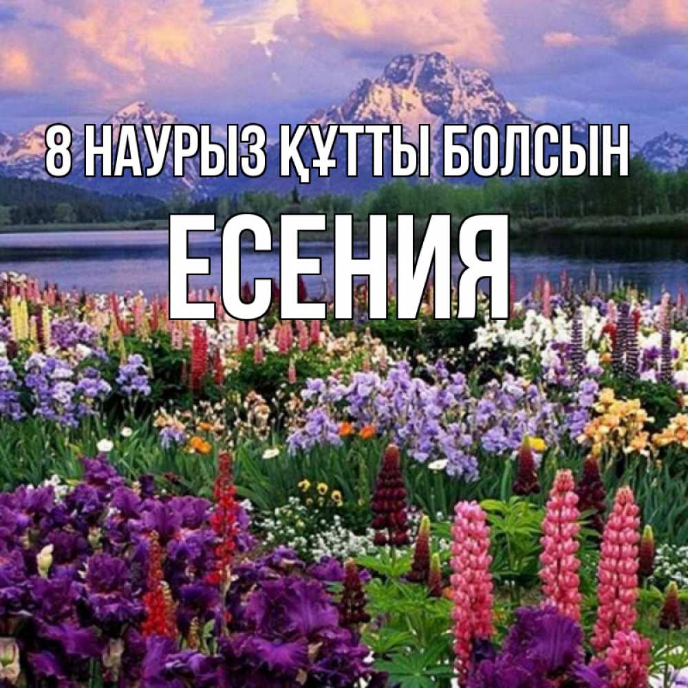 Күн сайын ашық хат с именем, Есения 8 наурыз құтты болсын международный женский день Онлайн тегін жүктеп алу тілектері бар керемет карта 
